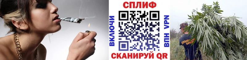 Каннабис семена  Когалым 